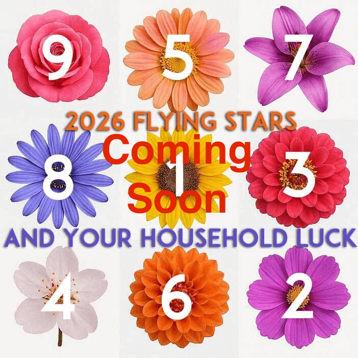 2026 Flying Stars Coming Soon