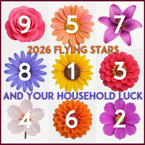 Annual flying stars 2026