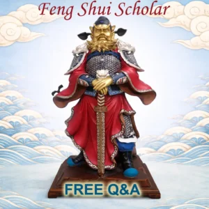 Feng Shui Scholar Q & A